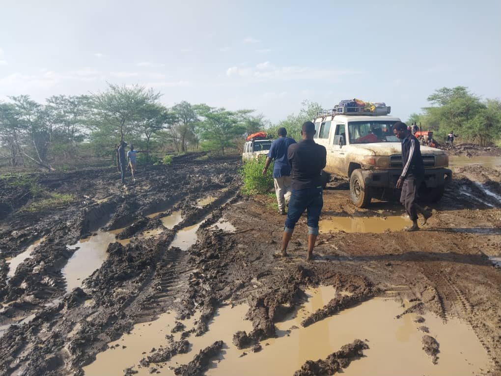 Activity from education